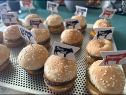 Mini Burgers