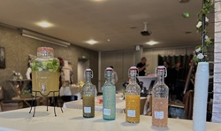 Prestation Salon Mariage - Mojito - Virgin Ginger Fraise - Virgin Mojito - Virgin Pina Colada - Virgin Mojito Fraise